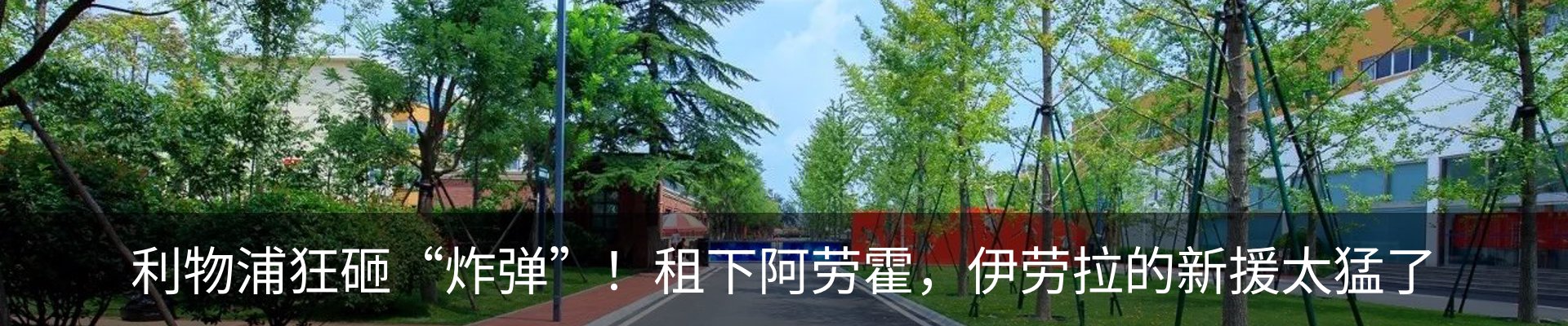 最新动态