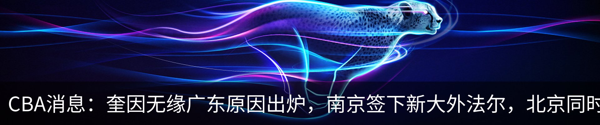 最新动态